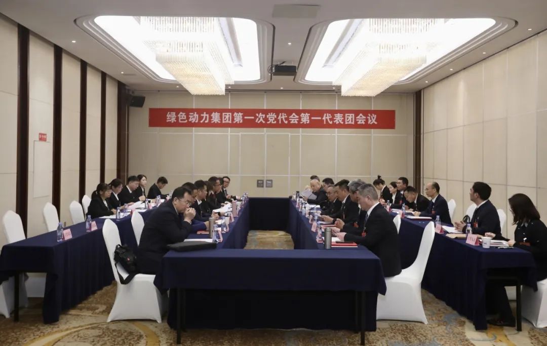 铭刻使命再出发，代表热议“两委”报告